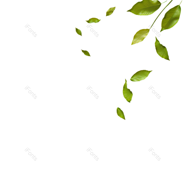 装饰图片,夏至元素,清新PNG,夏天免抠素材